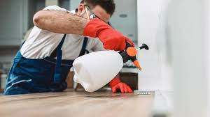 Best Residential Pest Control  in Bridgetown, OH